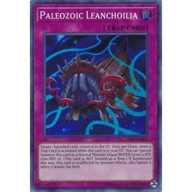 Yu-Gi-Oh! - Paleozoic Leanchoilia - OP07-EN013 - Super Rare - Unlimited Edition - OTS Tournament Pack 7