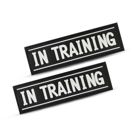 2Pcs Dog Patches for Harness, in Training Dog Patch with Hook Backing, Reflective Removable Tags, Creative Cartoon Font