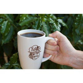 ELEFANTE - Black Edition - Dark Roast, Cup of Excellence Winning Coffee - Limited Edition by Twin Engine Coffee