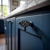 ViaGasaFamido Birdcage Cabinet Pull Hardware - Kitchen Cabinet Drawer Handle