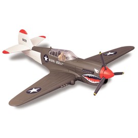 New Ray, WW II, 1:48 scale, Curtiss P-40 Warhawk, plastic model