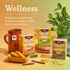 Yogi Tea - Green Tea Pure Green Decaf (6 Pack)