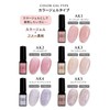 Reliable Japanese Fargel Artist Gel Series Color Gel (AK2, Beige