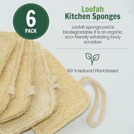 Natural Kitchen Sponge Organic Loofah Exfoliating Loofah Sponge Loofah Sponge Eco Friendly Biodegradable and Eco Friendly