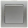 DELPHI change switch, UP, silver