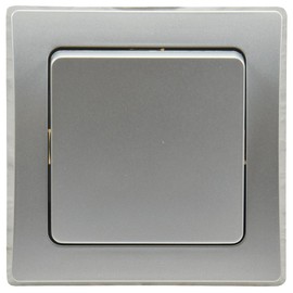 DELPHI change switch, UP, silver