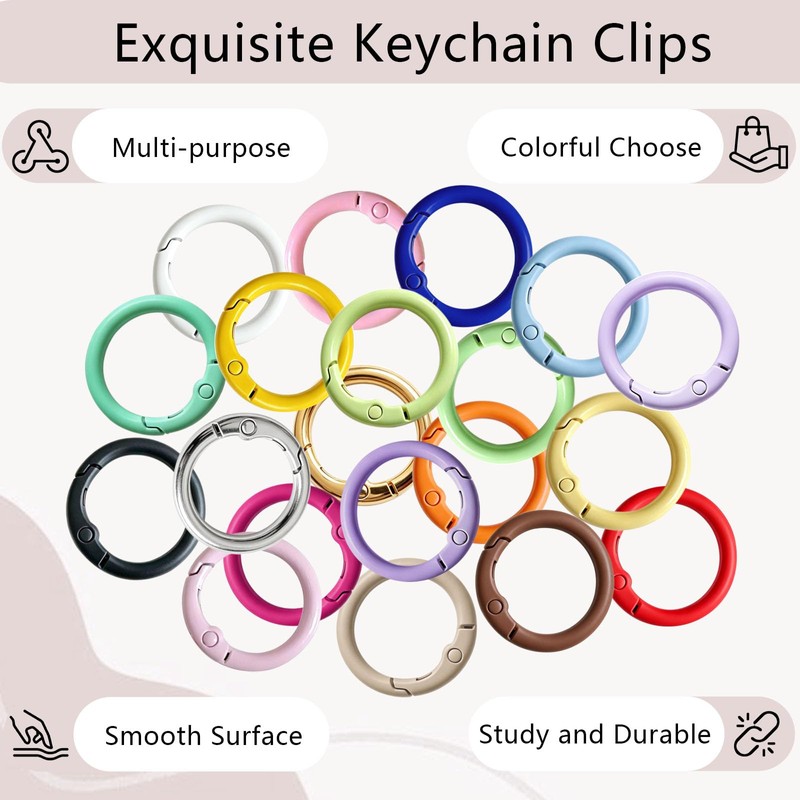 Hordolry 60Pcs Colourful Carabiner Clip Kit, Metal Key Ring Clip