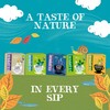 Clipper Organic English Breakfast | Box of 50 Teabags |