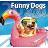 2026 Funny Dogs Full Size Wall Calendar for Planning, Scheduling,