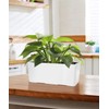 SAROSORA 14" Rectangle Self Watering Planter with Water Level Indicators