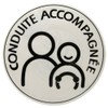 Carlinea 463242 Electrostatic Car Sticker with French-Language Phrase Conduite Accompagnée