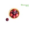 DISPOSABLE GREEN® | Round Bowls | Various Sizes | COMPOSTABLE,