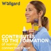 Silicium Supplement, Wellgard True Silica – Stabilised Silicon with Choline