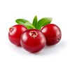 US Organic Aceite de Arándano Rojo Orgánico USDA, Prensado en