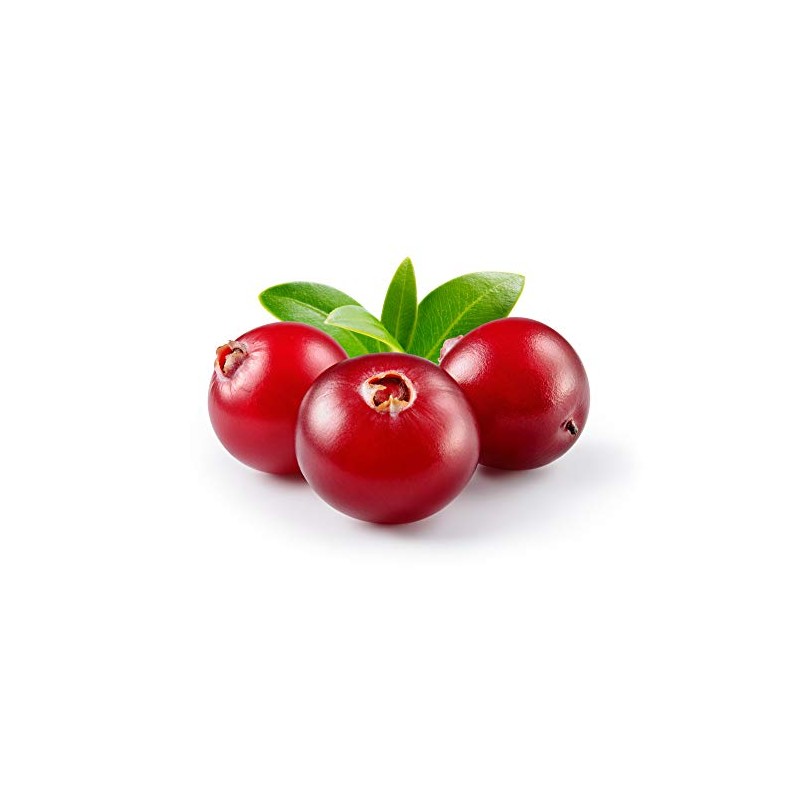 US Organic Aceite de Arándano Rojo Orgánico USDA, Prensado en