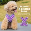 Pawaboo Small Dog Harness and Leash Set, Puppy Harness X-Frame