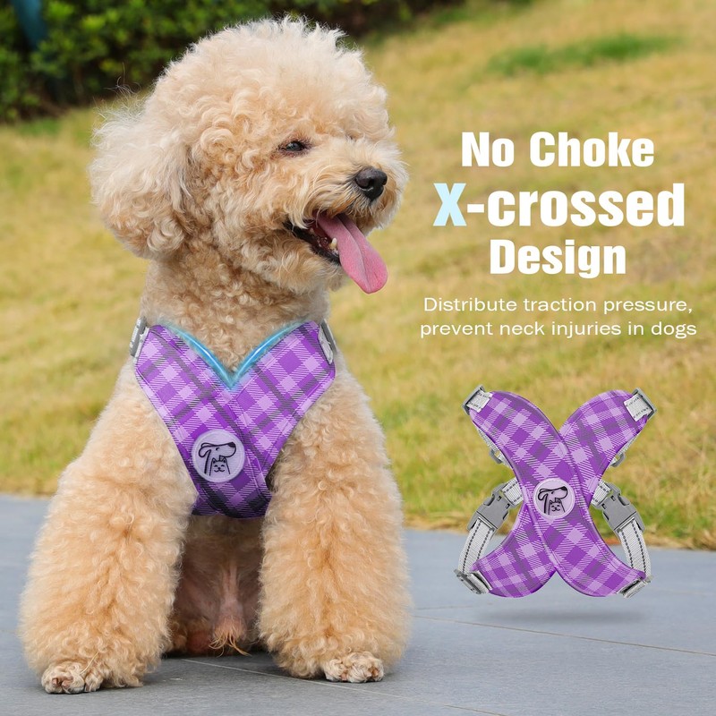Pawaboo Small Dog Harness and Leash Set, Puppy Harness X-Frame