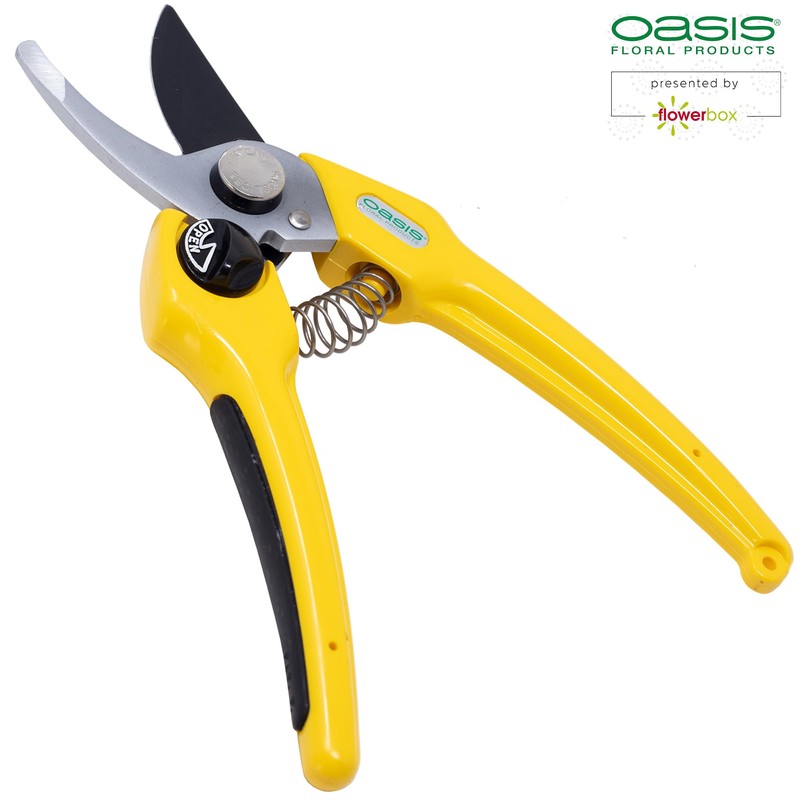 Flowerbox Oasis® Professional Florist Scissors, Pack of 1