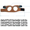 3 Pack Squirrel Harness and Leash Set - Adjustable Traction