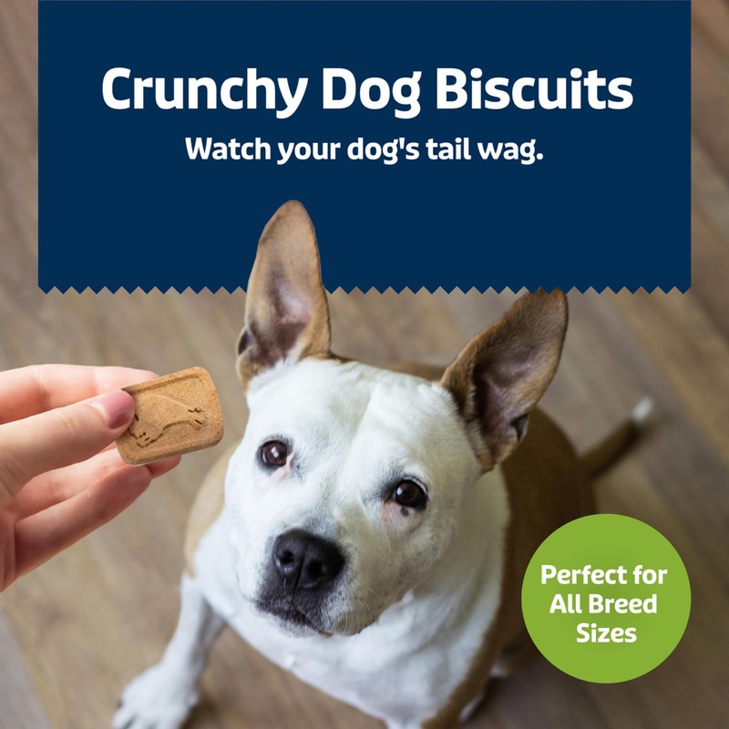 Blue Buffalo Health Bars Crunchy Dog Biscuits, Oven-Baked with Natural