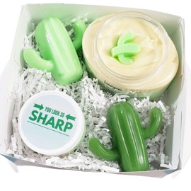 Lemongrass Bath Spa Gift Set. You Look so Sharp Cactus. Best friend birthday gifts for Women
