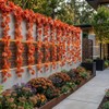 5Pcs Guirnalda de Hojas de Arce para Otoño，Decoración Halloween,7.4M largo