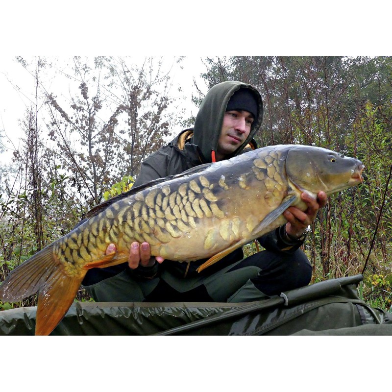 Tandem Baits Carp Feed Fishing Food Hook Bait Carp Food