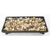 Yubonzai 1 Rectangular Black Plastic Humidity/Drip Tray for Bonsai Tree