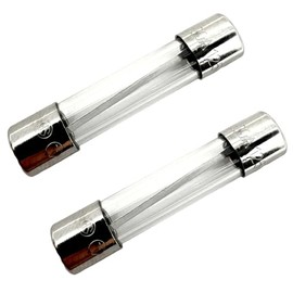 Dlh Western 125 Volt Fuse Replacement for 20 Amp Microwave Oven Models WB27X11138 GE, Frigidaire, Hotpoint Models, Pack of 2, Clear