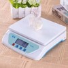 TS-500 Digital Weighing Scale, Power Up to 30kg/1gm, LCD Display,