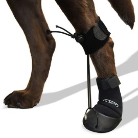 WALKABOUT™ Toe'sUP No Knuckling Boot Brace for Dogs Dragging Paws | Corrective Dog Shoes to Safely Lift Toes