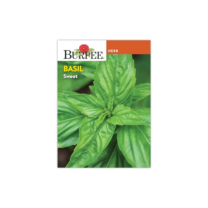 Burpee 'Sweet' Basil, 600mg Non-GMO Herb Seeds for Planting
