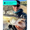 Zanderfang - Rubber fish for zander and perch flavoured with