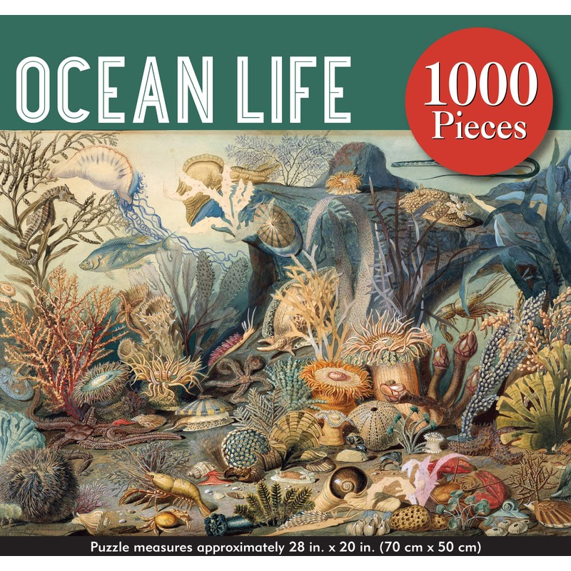 Ocean Life 1000 Piece Jigsaw Puzzle