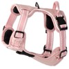 pet passion MAX - El arnés Reflectante Resistente, Rosa, pequeño