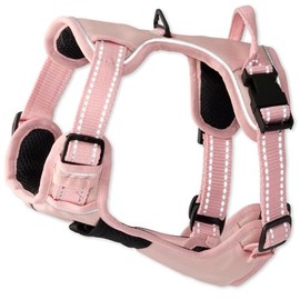 pet passion MAX - El arnés Reflectante Resistente, Rosa, pequeño