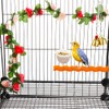 6 Pcs Mini Bird Food Bowl Feeder, Parrot Convenient Hanging