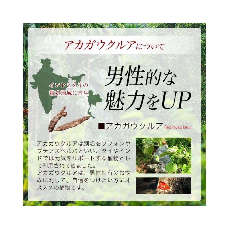 オーガランド (ogaland) トンカットアリ & アカガウクルア (360粒) サプリメント (亜鉛/マムシ末/L-シトルリン/L-オルニチン) スタミナ サプリ