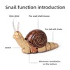 Tsiodot RC Snail Toy Realistic IR Remote Control Insect Car