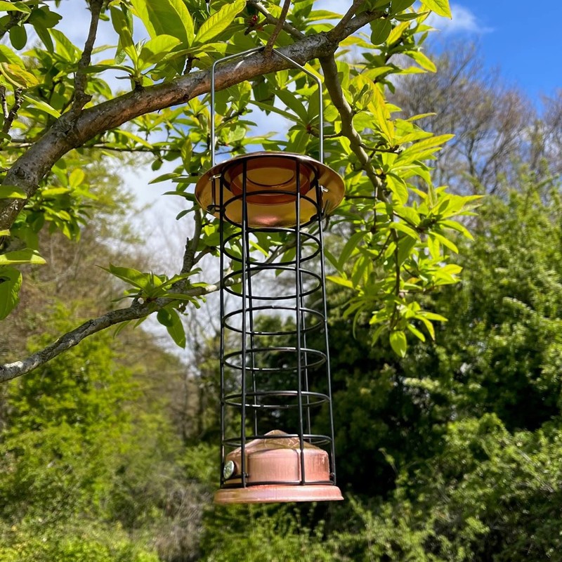 Copper Style Hanging Wild Garden Bird Suet Fat Ball Feeder