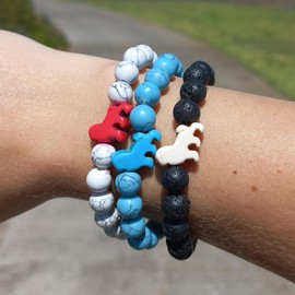 Fahlo Lion Tracking Bracelet, Elastic, supports EWASO Lions, one size fits most for Men and Women (River Blue)