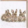 Wrendale Designs - 'Daisy Chain' Card