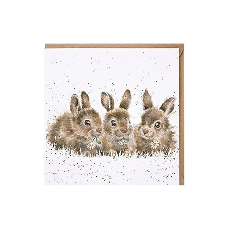 Wrendale Designs - 'Daisy Chain' Card