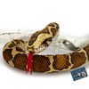 Tiger Python Cuddly Toy Snake Python Plush Snake Plush Toy