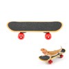 Mini Turtle Skateboard for Small Pets - Fun Tortoise Skateboard