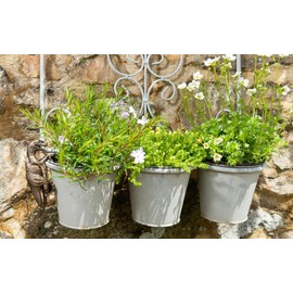 Pot Buddies Decorative Velociraptor Pot Hanger Ornament - Bronze Color