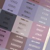 UPAFEXXI-Laminated Bible Tabs with Book Summaries(Gold Foil Embossed Lettering), Bible