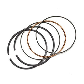 Engine Piston Rings Set for Suzuki DR200 42A 1986-1991 Suzuki SP200 1986-1988 DF200 1986-2000 DR200SE 1996-2013 DR200 DR200S 2015-2017 RV200 VanVan 2017 Road Passion (Oversize +50 66.5mm;1 Set)