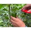 Ars Corporation YS-38 Vegetable Harvesting Shears, Round End, Stainless Steel