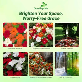 Outsidepride Imara XDR Hot Mix Impatiens Flower Seeds - 75 Pcs Annual, Compact & Pollinator Friendly, Impatiens Seeds for Planting w/Vibrant, Abundant Blooms for Shade Gardens & Container Displays